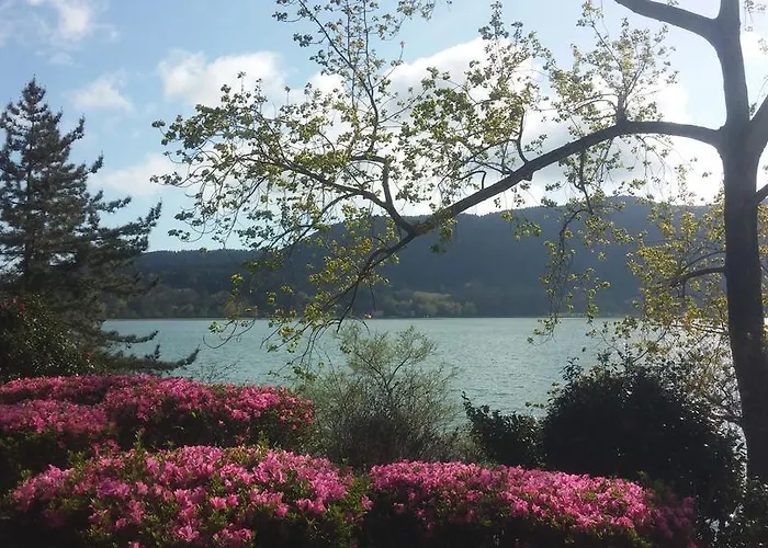 Casa Da Agua Quente - Al Furnas (Azores)
